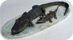 Alligator-Sculpture-Tabletop_7x16